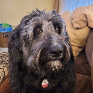 Meet your Posher, Rhonda